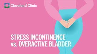 Stress Incontinence vs. Overactive Bladder What You Need to Know