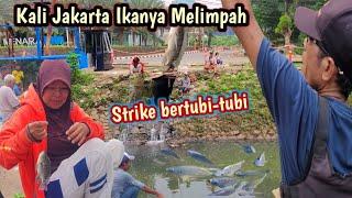 MANCING LIARAN KALI KUNINGAN JAKARTA SELATAN