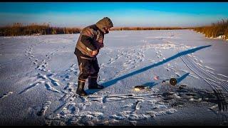 Рыбалка на жерлицы перволёдка.. На разведку за Щукой. Проверка старицы реки Куланотпес.