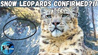 Snow Leopards Confirmed For Sundarpatan?  TheHunter Call Of The Wild