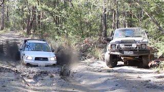 Subaru destroys real 4wds in mud pit