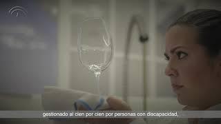 Andalucía de Turismo 2019 - Universo Santi