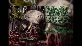 Defenestrated Treachery - Laceration Commandments Slamming Brutal Death Metal