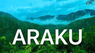 Araku Full Tour  Telugu  Plan and Budget  Top Tourist places  Ap Tourism #araku information#ap.