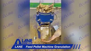 LANE Feed Pellet Machine Production Granulation