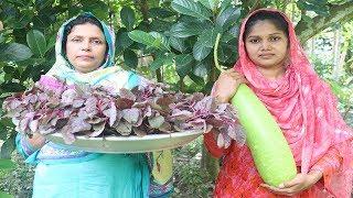 Village Food Recipe - Red amaranth and Bottle Gourd Curry  Farm Fresh Lal Shak Vaji Healthy Recipe