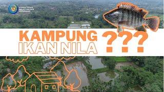 Kampung Ikan Nila ???