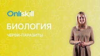 БИОЛОГИЯ 7 класс  Черви-паразиты