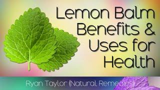 Lemon Balm Benefits and Uses Melissa