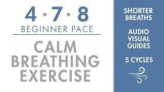 4-7-8 Calm Breathing Exercise  Beginner Pace   Short & Easy Breaths   Simple Pranayama Exercise