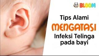 Tips Parenting Tips Mengatasi Infeksi Telinga Pada Bayi