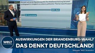 STATE ELECTIONS IN BRANDENBURG What impact will the election have? This is what Germany thinks