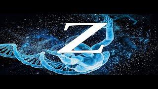 Сакральный смысл буквы Z