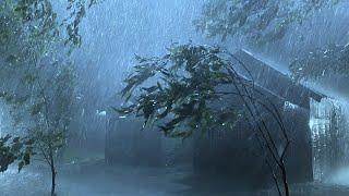 Goodbye Stress & Beat Insomnia with Heavy Rain & Thunder Sounds Strong Wind on Metal Roof at Night