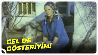 Ceyda Karahan - Dur göstereyim şuna