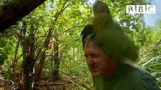 Shagged by a rare parrot  Last Chance To See - BBC