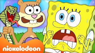 30 Minutes Of SpongeBob & Sandy’s TREEDOME TROUBLE  Nickelodeon Cartoon Universe