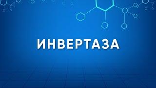 Инвертаза Invertase Назначение. Производство. Применение. Энзимология в деталях.