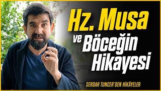 Hz. Musa ve Böceğin Hikayesi - Serdar Tuncer