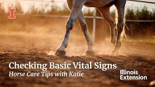 Checking Basic Vital Signs