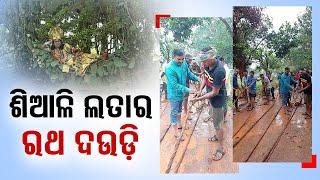 Special Story Siali Creeper Used as Rope for Pulling Chariot of Holy Trinity in Keonjhar