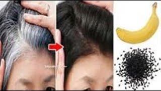 Experienced Mojaraba Tv Permanently get rid of gray hair with one banana even if the hair is all