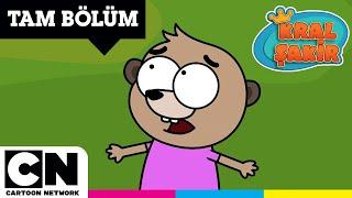 KRAL ŞAKİR  Yalancı Portakal  TVDEN ÖNCE YOUTUBEDA  TAM BÖLÜM  @cartoonnetworkturkiye