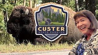 Custer State Park a MUST SEE When Visiting Mount Rushmore