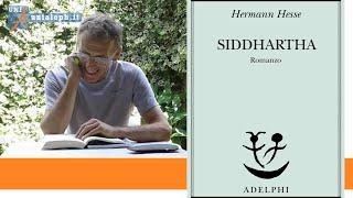 Marco Guzzi commenta Siddhartha di Hermann Hesse - Mauro Scardovelli