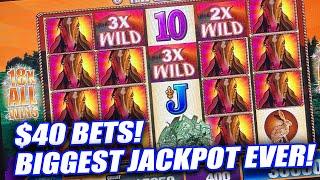 18x ALL WINS MASSIVE BONUS JACKPOT WIN ON MUSTANG  BUFFALO GOLD HIGH LIMIT SLOTS