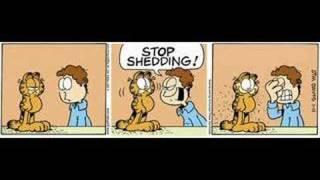 Garfield is Speechless