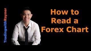 Forex Trading for Beginners #7 How to Read a Forex Chart by Rayner Teo