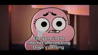 My reaction to Doge The Meme Dog’s passing… 