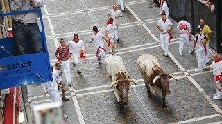 Pamplonas Running of the Bulls