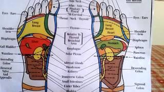 Reflexology - How to Read a Foot Reflexology Chart