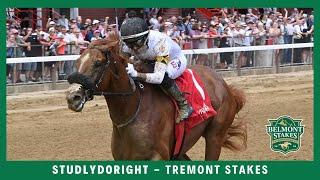 Studlydoright - 2024 - Tremont Stakes