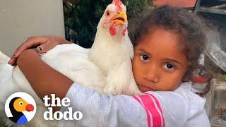 Rescue Chicken Shares A Bedroom With Her Human Sister  The Dodo Soulmates