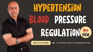 Hypertension  Blood Pressure Regulation  Hypotension