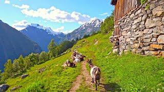 Walking around Geiranger most beautiful Village of Norway