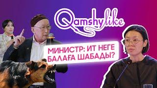 Қаңғыбас итті ату керек пе?  Атырауды су басуы мүмкін бе? - QAMSHYLIKE