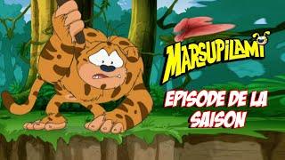 Marsupilami - épisode de la saison 1  EP1-4 épisode complet