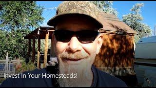 Solarcabin Update Invest In Your Homesteads And It All Takes Time