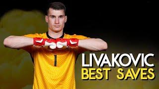Dominik Livaković Best Saves • Save Compilation  The Underrated Croatian