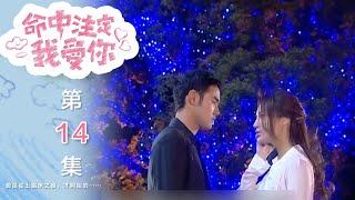 命中注定我愛你 Youre My Destiny EP14｜三立華劇