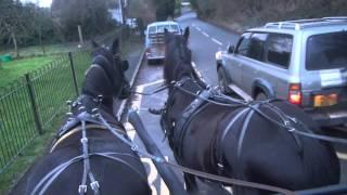 Short drive big lesson teaching uncontrollable horses to walk calmly on a loose rein.