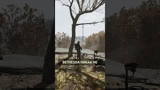 МЕСТО ДЛЯ C.A.M.P. В ГОРАХ ЛЕСНОГО РЕГИОНА ► FALLOUT 76