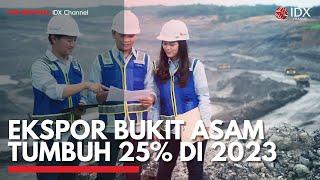 Ekspor Bukit Asam Tumbuh 25% di 2023  IDX CHANNEL