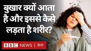 Fever and Human Body बुखार क्यों आता है और हमारा शरीर उससे कैसे लड़ता है? BBC Hindi