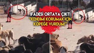 Son Dakika Konya Hayvan Barınağı olayında tutuklanan şüphelilerin ifadesine ulaşıldı