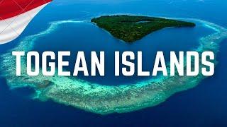 TOGEAN ISLANDS & Una Una Jellyfish Lake Plane Wreck Diving - Sulawesi motorbike trip